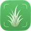 Grass ID